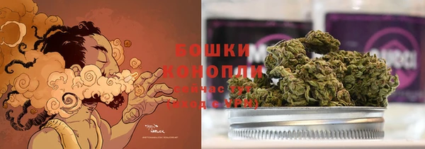 дурь Магас