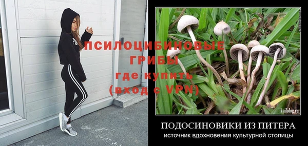 дурь Магас