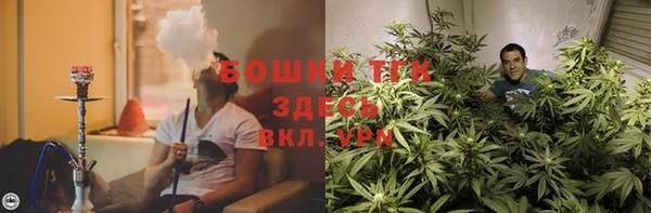 дурь Магас